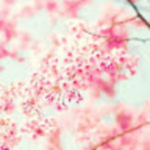 Meet your Posher, Giana